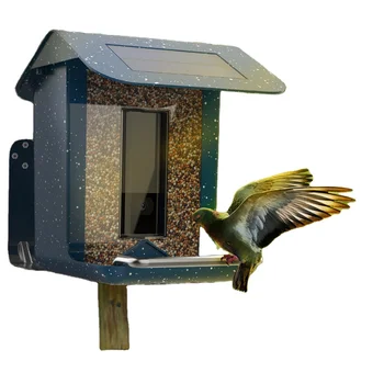 Pozorovanie vtákov smart feeder s kamerou na dvore záhradné voľne žijúcich vtákov, kŕmenie