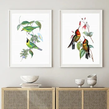 Jerdon je Leafbird Vytlačí Vintage Vták Ilustračného Plagátu objavia Orange throated Sunangel Kolibrík Maľovanie na Plátno Tlačiť Stenu Decor
