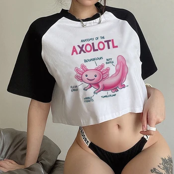 ajolote Axolotl