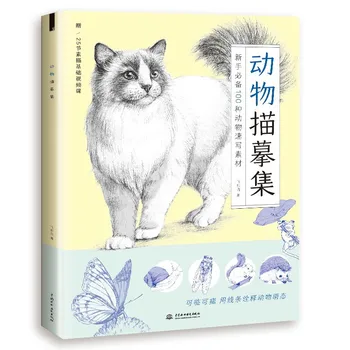 Náčrt 100 Druhov Zvierat Line Kreslenie Kópiu Albumu Nula Základný Náčrt Kurz Kreslenia Umenia Knihy