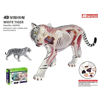4DVision Biely Tiger Anatómie Model Zvierat Lebky Kostra Anatomický Model Odnímateľný DIY Modelu Deti Vedy Vzdelávacie Hračky